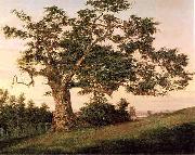 unknow artist The Charter Oak oil painting reproduction